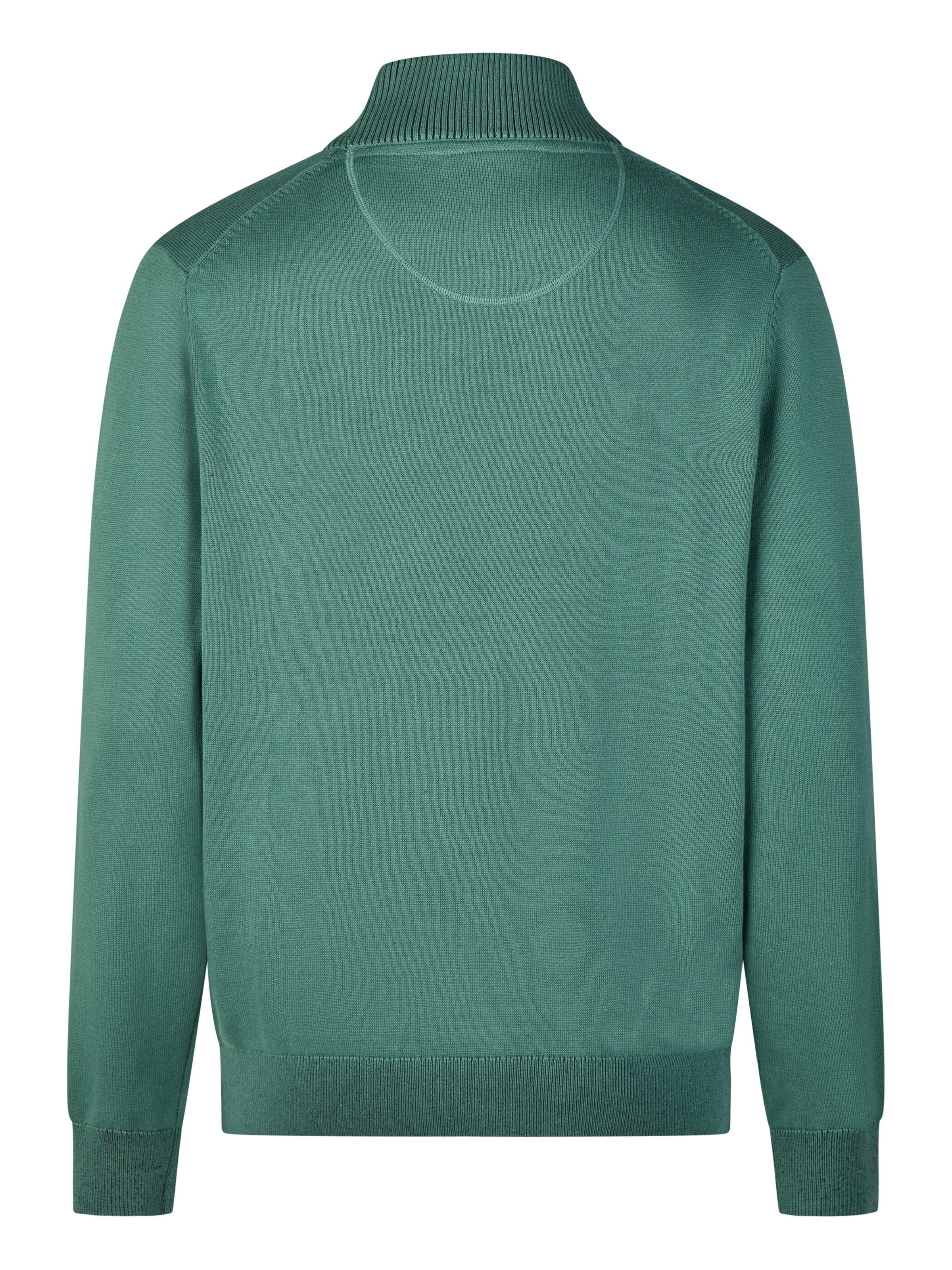 PIERRE CARDIN Sweater in Green