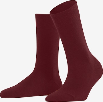 FALKE Socken 'Sensitive Berlin' in Rot: Vorderseite