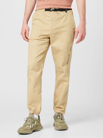ADIDAS TERREX Slim fit Outdoor Pants 'National Geographic ' in Beige: front