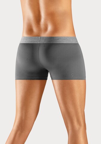 s.Oliver Boxer shorts in Grey