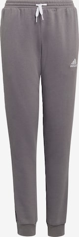 ADIDAS PERFORMANCE Tapered Workout Pants 'Entrada 22' in Grey: front
