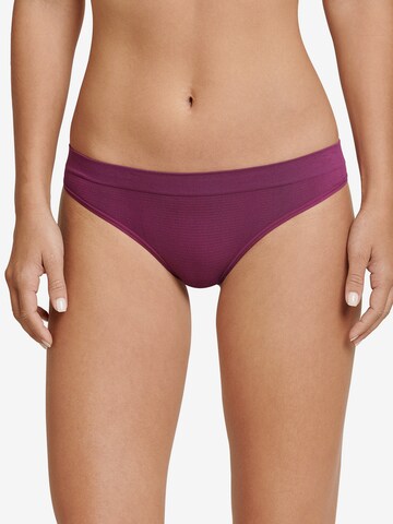 SCHIESSER Thong ' Active Basic ' in Purple: front