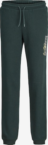 Tapered Pantaloni 'JPSTGORDON' de la Jack & Jones Junior pe verde: față