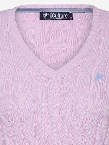 rožinė DENIM CULTURE Megztinis 'Perla'