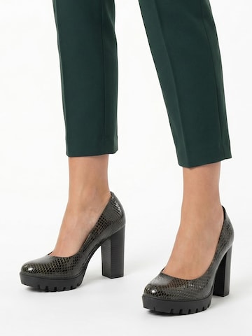 Maciejka Pumps in Zwart