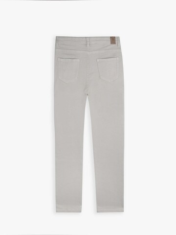 Regular Pantalon Scalpers en gris