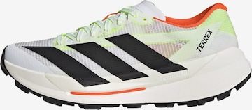 ADIDAS TERREX Running shoe 'Agravic TT' in White: front