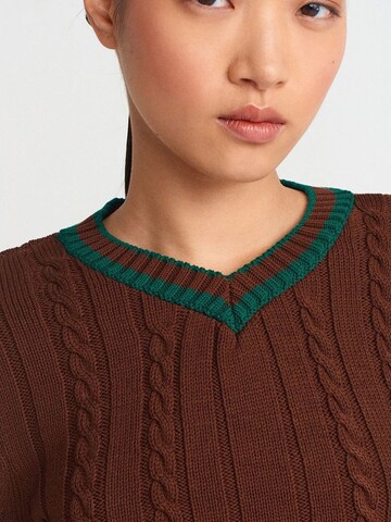 DilvinPulover 'Pullover' - smeđa boja