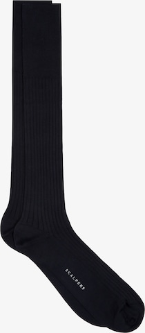 Scalpers Socks in Black