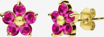 Lucardi Oorbellen in Goud: voorkant