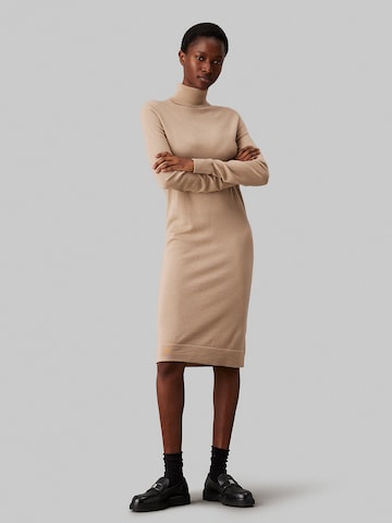 Calvin Klein Knit dress in Beige: front