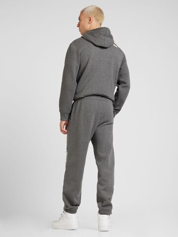 THE NORTH FACE Loosefit Sporthose 'Varsity Graphic Joggers' in Grau