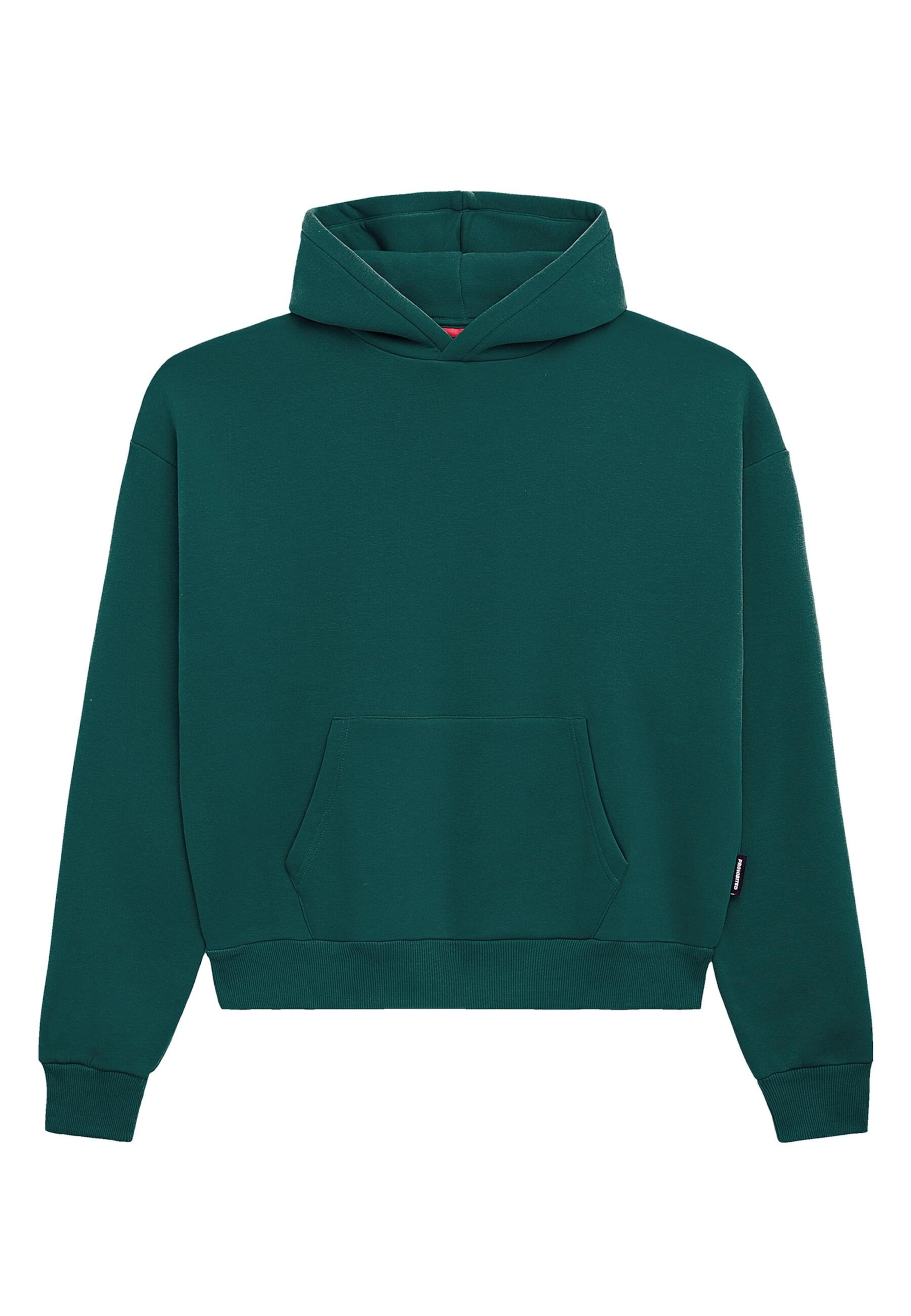 Prohibited Sweatshirt in Green: front