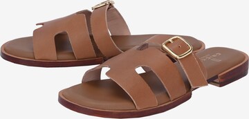 Crickit Strap Sandals 'ODETTE' in Brown