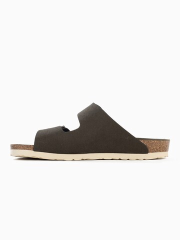 Bayton Mules 'Atlas' in Brown