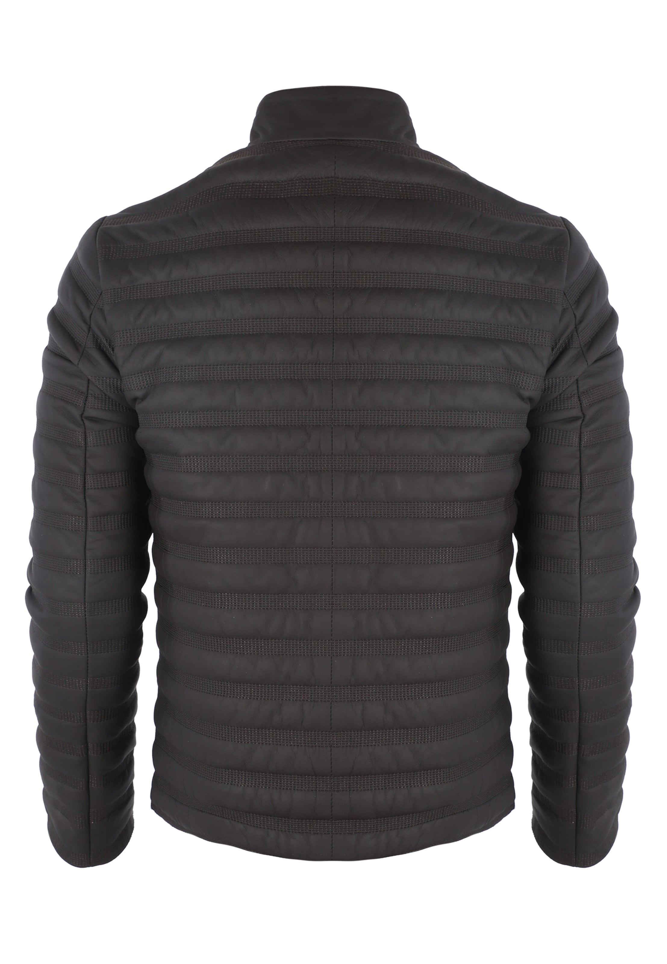 Felix Hardy Kevad-sügisjope, värv pruun