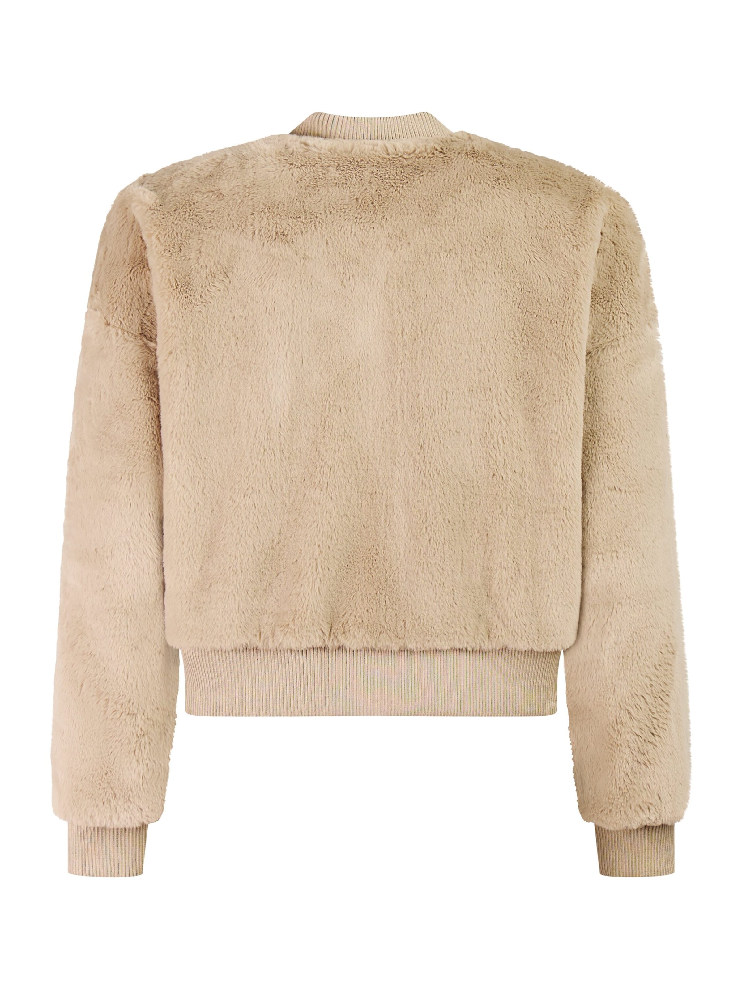 PROTEST Outdoor jacket 'PRTPipas' in Brown