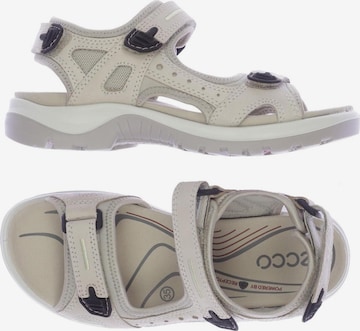 ECCO Sandals & High-Heeled Sandals in 35 in Beige: front
