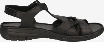 CAPRICE Sandals in Black