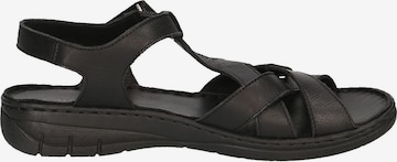 Sandales CAPRICE en noir