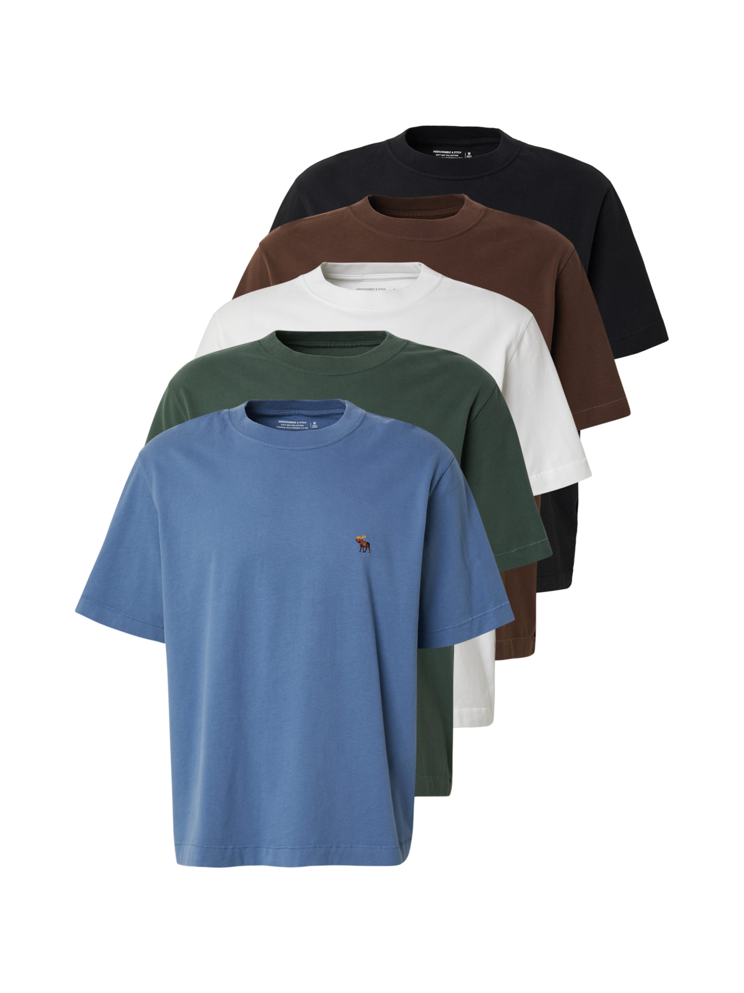 Abercrombie & Fitch Shirt in Blue: front