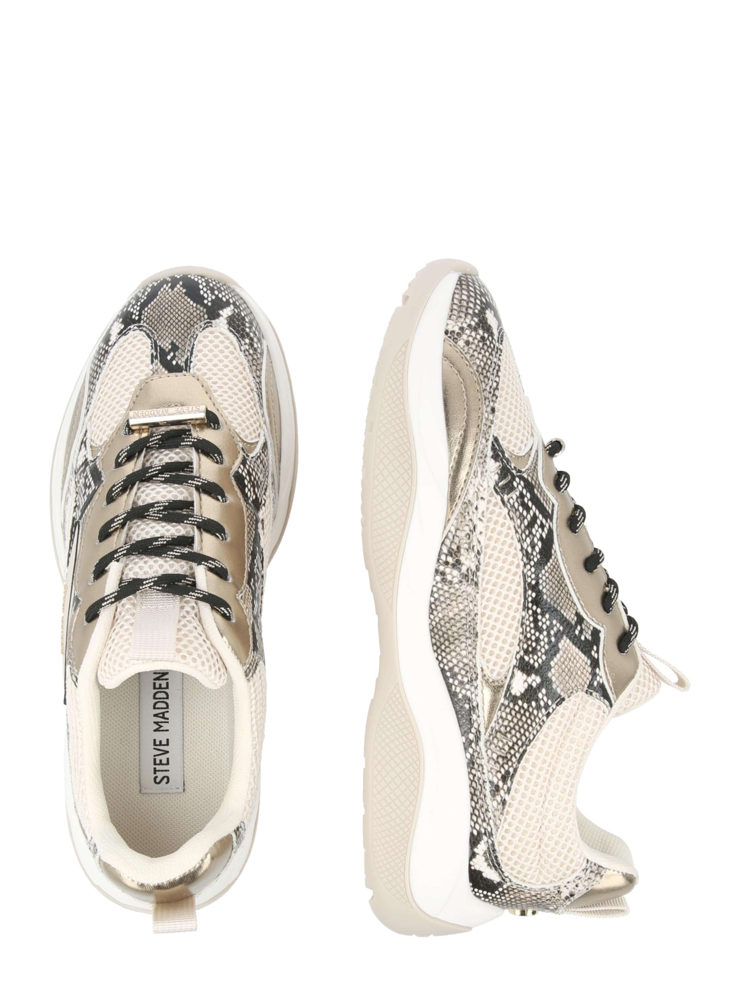 STEVE MADDEN Низкие кроссовки 'Premio' в Коричневый