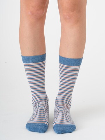Albero Natur Socks in Blue: front