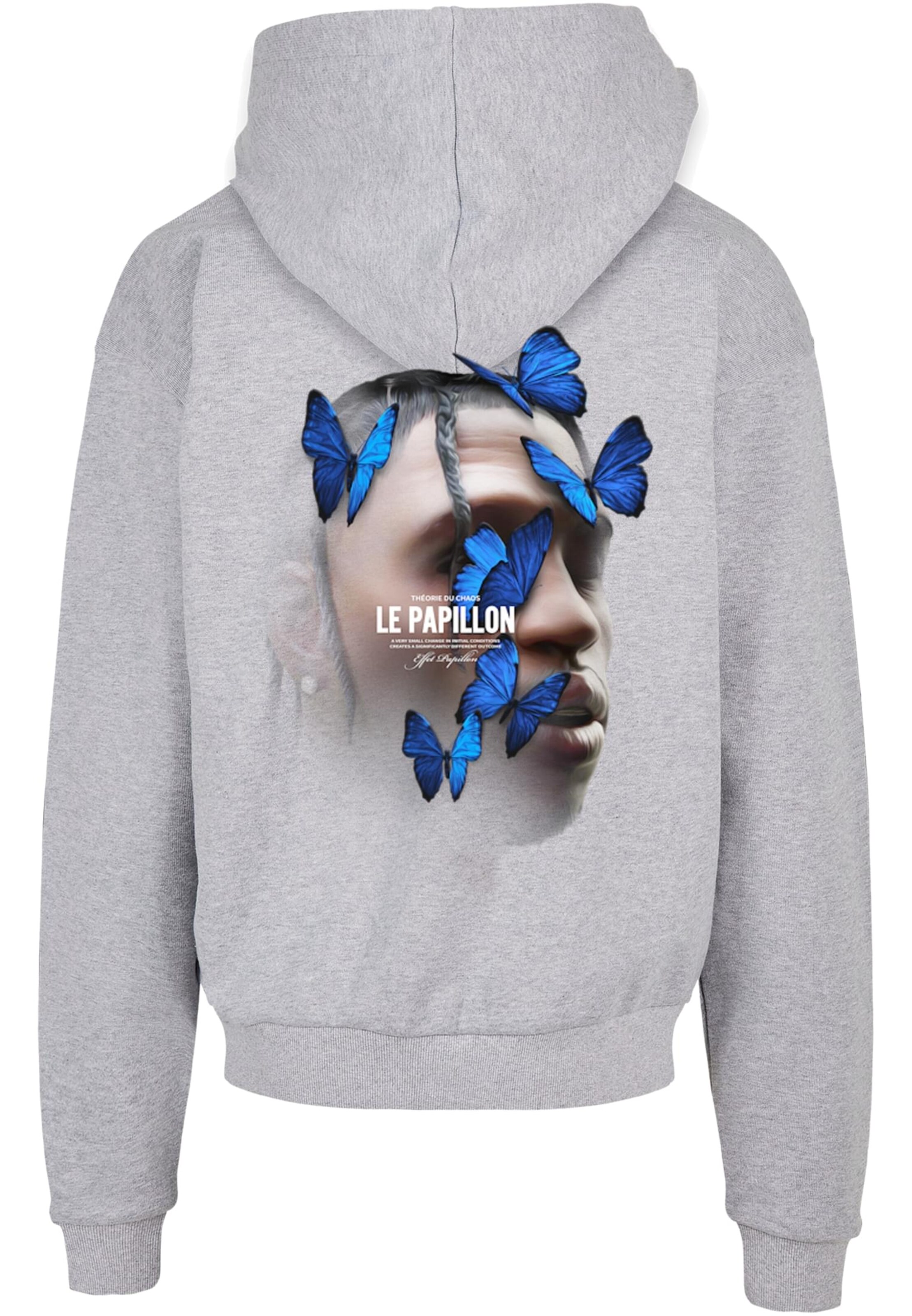 MT Upscale Sweatshirt 'Le Papillon' in Grey