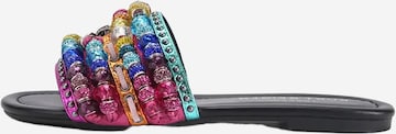 Sandales Kurt Geiger en mélange de couleurs : devant