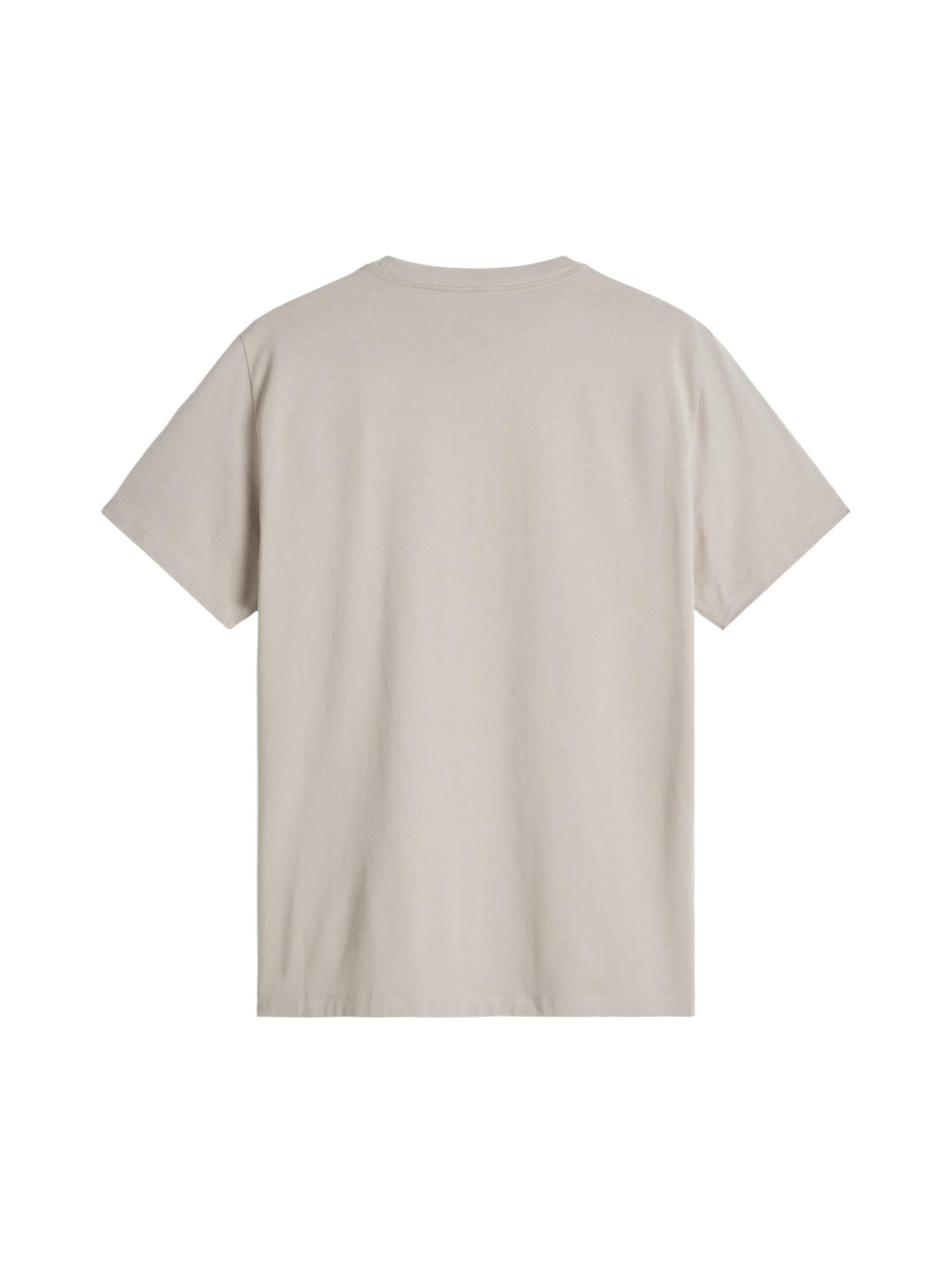 THE NORTH FACE Shirt 'Evolution Simple Dome' in Groen