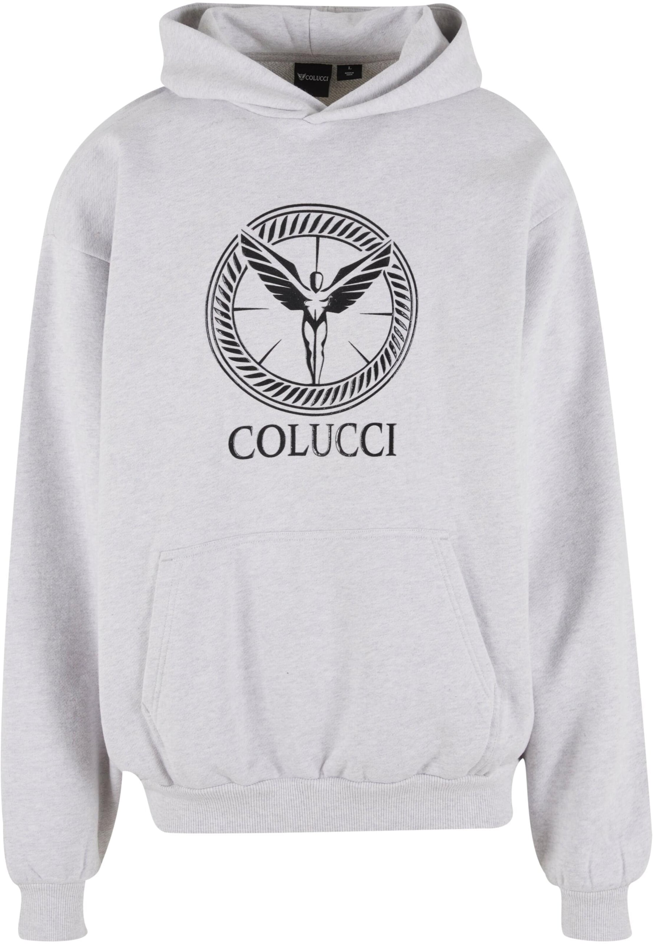 Sweat-shirt 'Ikarus' Colucci en gris : devant