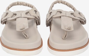 Crickit T-Bar Sandals in Beige