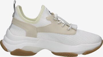 Baskets basses 'MATCH' STEVE MADDEN en blanc