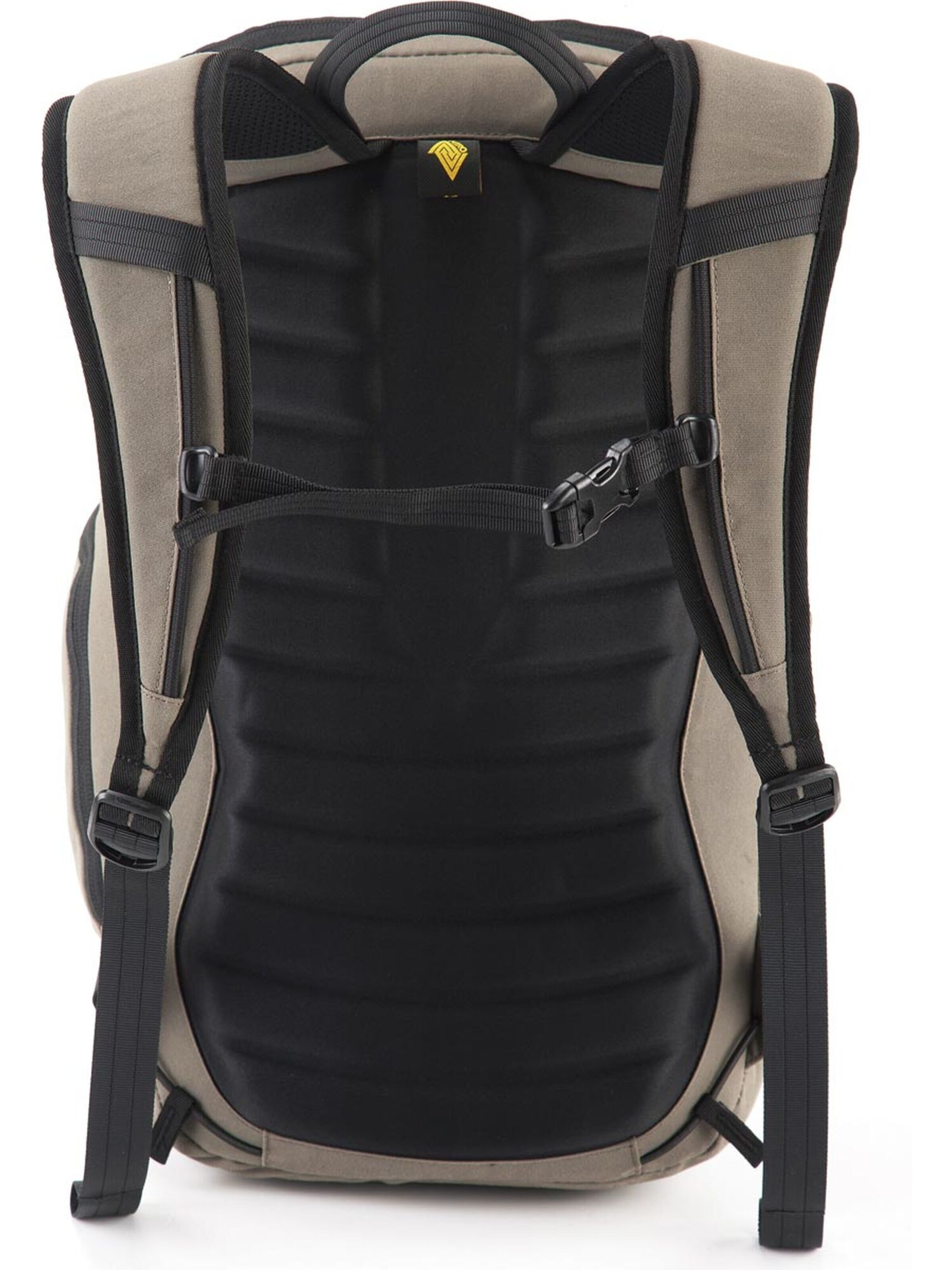 NITRO Backpack in Brown: front