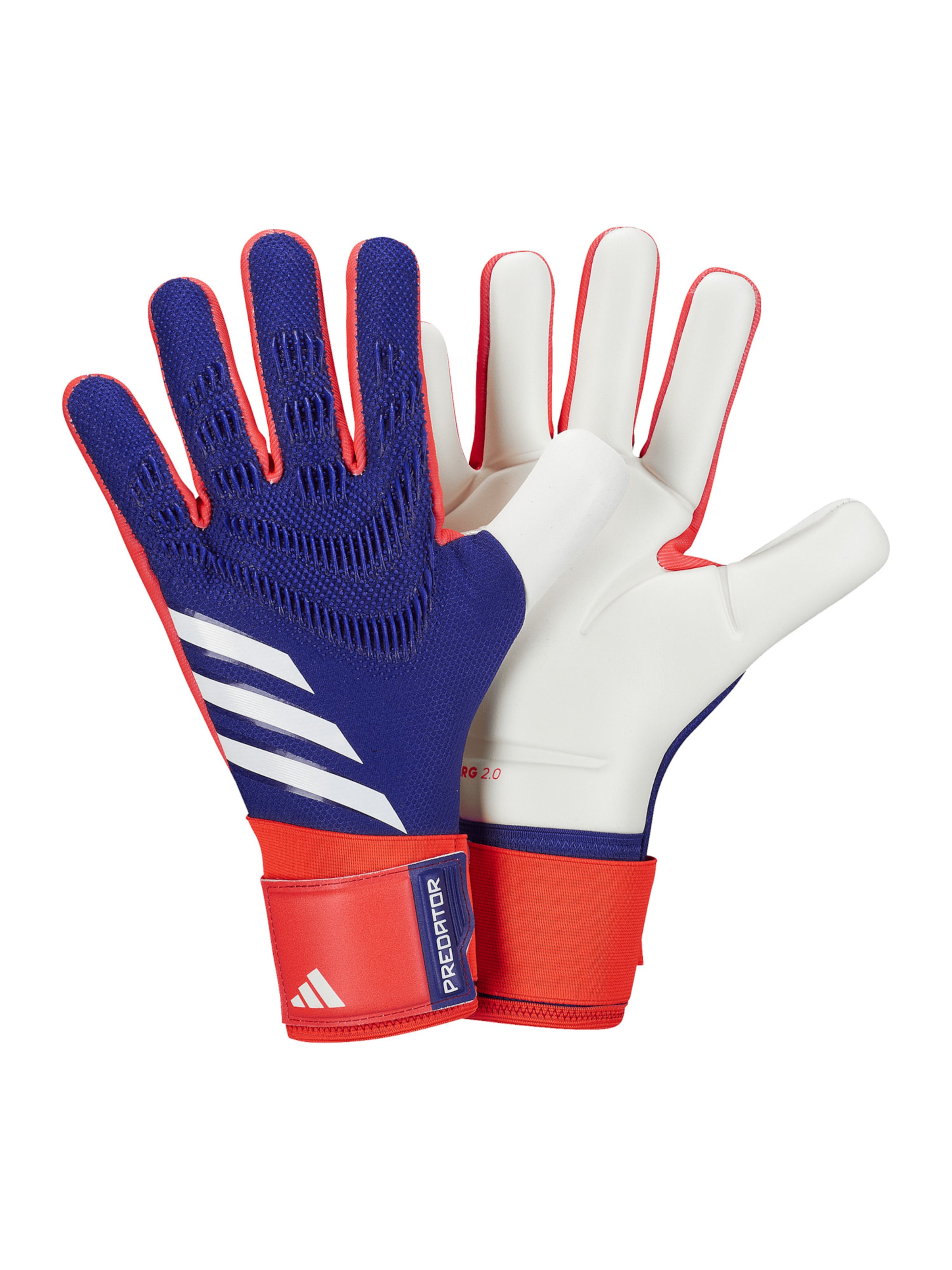 ADIDAS PERFORMANCE Sports gloves 'Predator Competition' in Blue: front