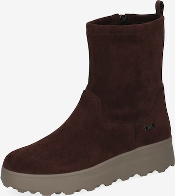 CAPRICE - Botas chelsea em castanho: frente