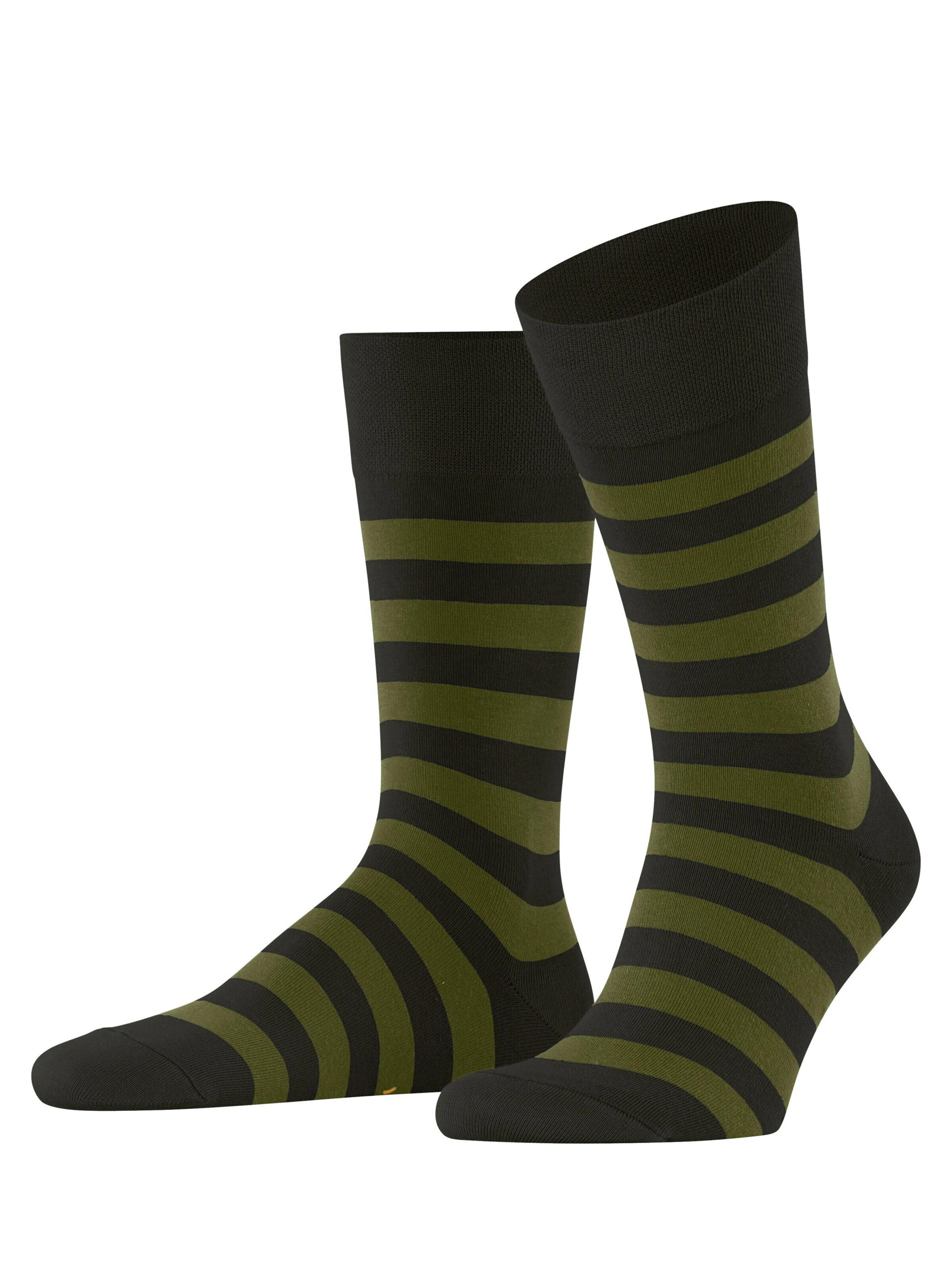 FALKE Socken 'Sensitive Mappd Line'‌‌‌‌‌‌‌‌ in Grün: Vorderseite