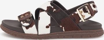 WODEN Sandaler 'Tea Animal' i sort: forside