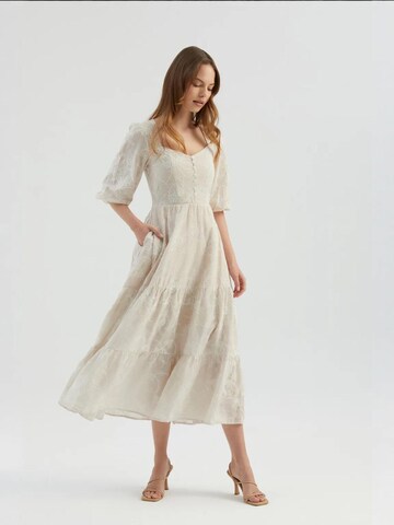 Hiccup Kleid in Beige