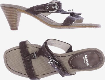 LLOYD Sandals & High-Heeled Sandals in 39 in Brown: front