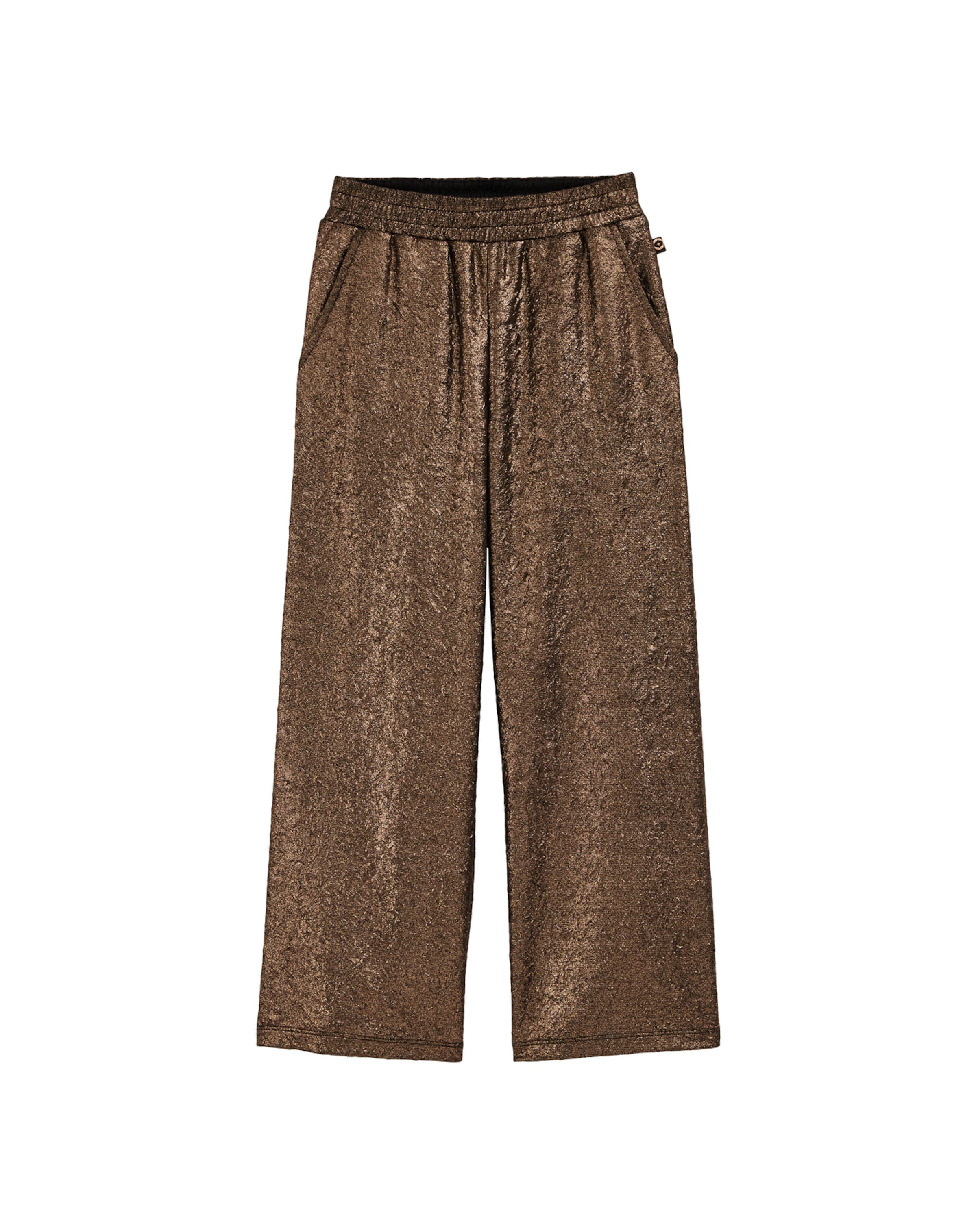 WE Fashion Regular Housut värissä pronssi: etupuoli