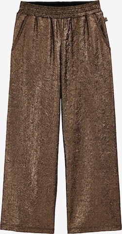 bronzinė WE Fashion Standartinis Kelnės: priekis