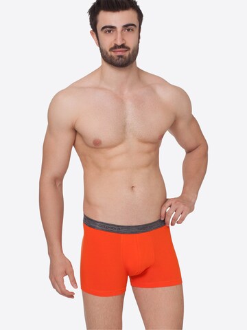 celodoro Boxershorts 'Elastix'‌‌‌‌‌‌‌ in Orange