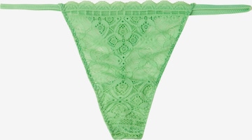 INTIMISSIMI Thong in Green: front