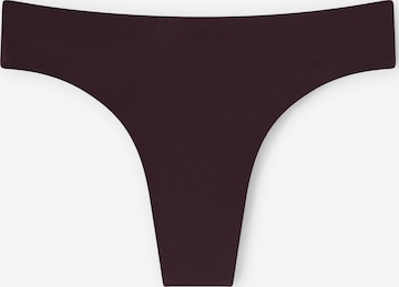 INTIMISSIMI Panty in Purple: front