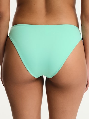 Penti Bikini bottom 'Bikinihosen' in Green