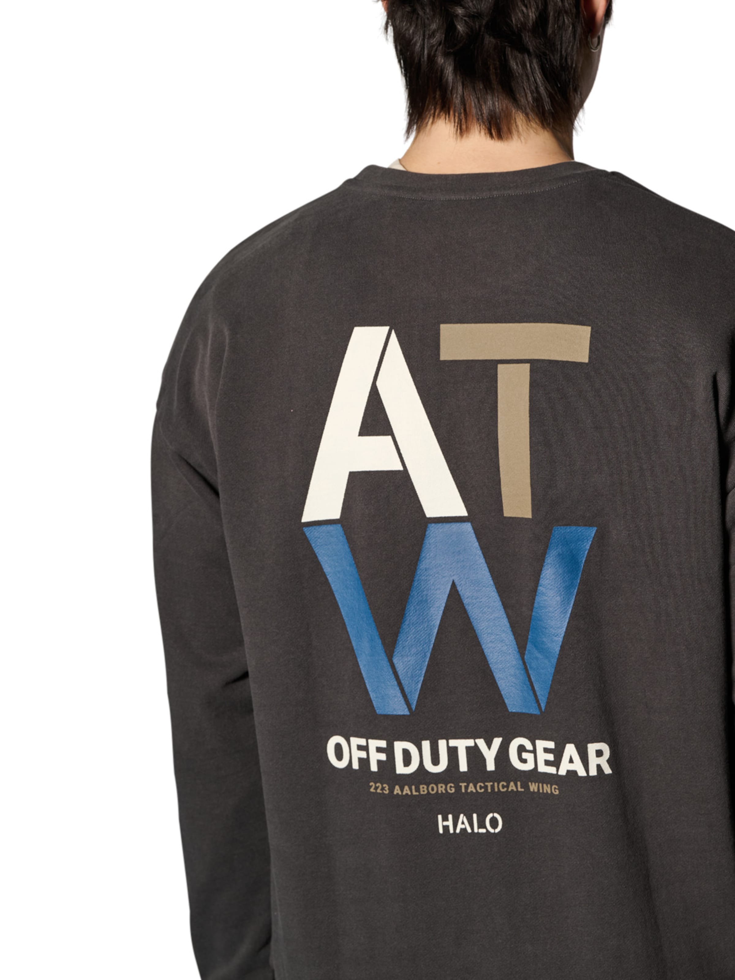 HALO Sweatshirt 'Duty' in Grey