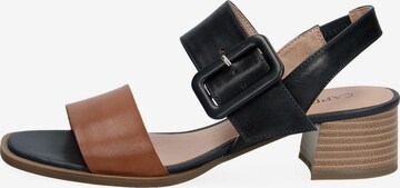 CAPRICE Sandals in Brown