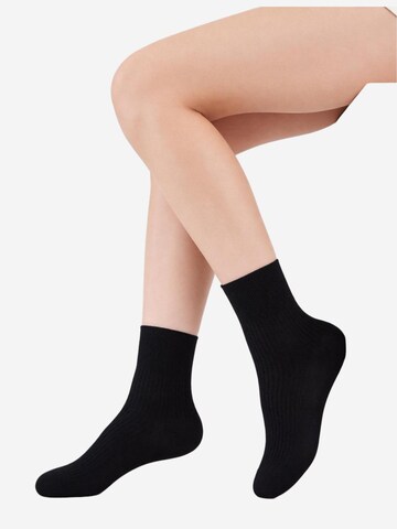 AOTTORI Socks in Black