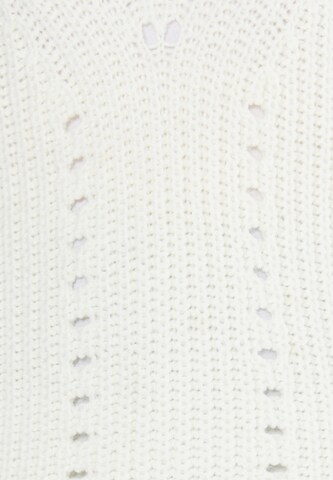 usha WHITE LABEL Pullover 'Teylon' in Weiß